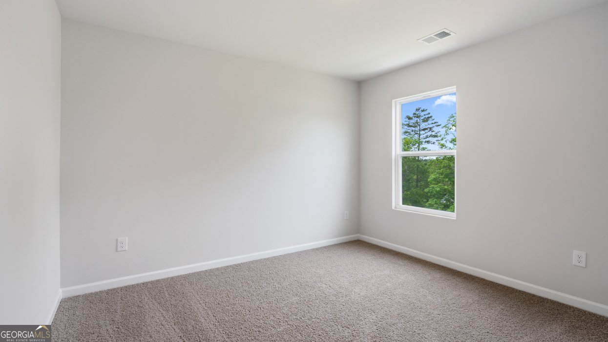 590 Great Salt Lane Hoschton - Photo 24