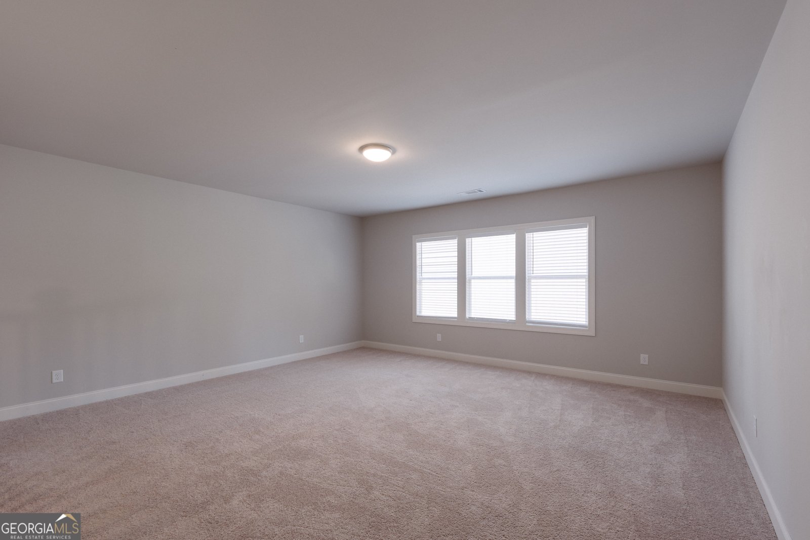 1210 Baynes Creek Drive Suwanee - Photo 36