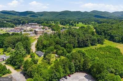 22 Gardenia Way Blairsville - Photo 44