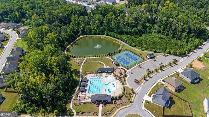 278 Azalea Bloom Drive Loganville - Photo 49
