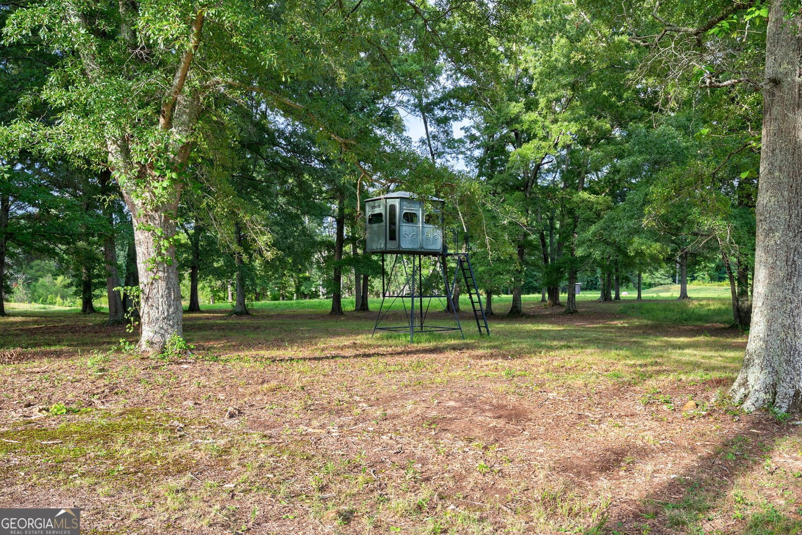 1321A Garrett Road Statham - Photo 6