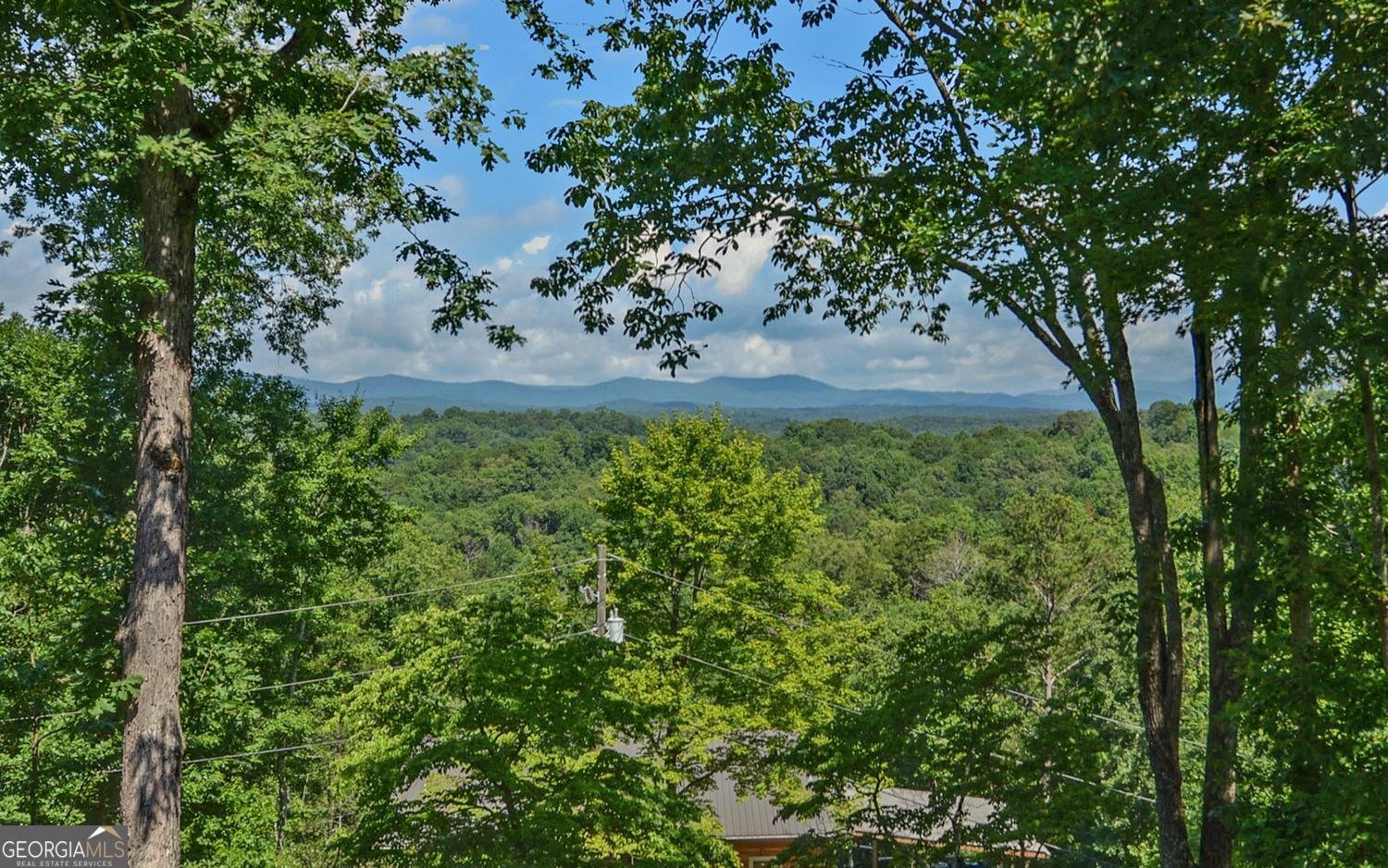280 Cherokee Court Ellijay - Photo 38