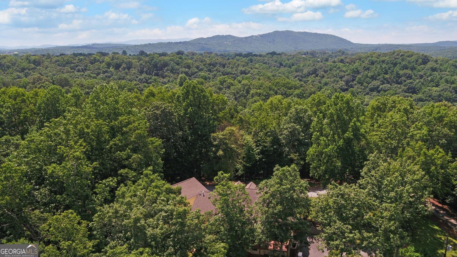280 Cherokee Court Ellijay - Photo 79