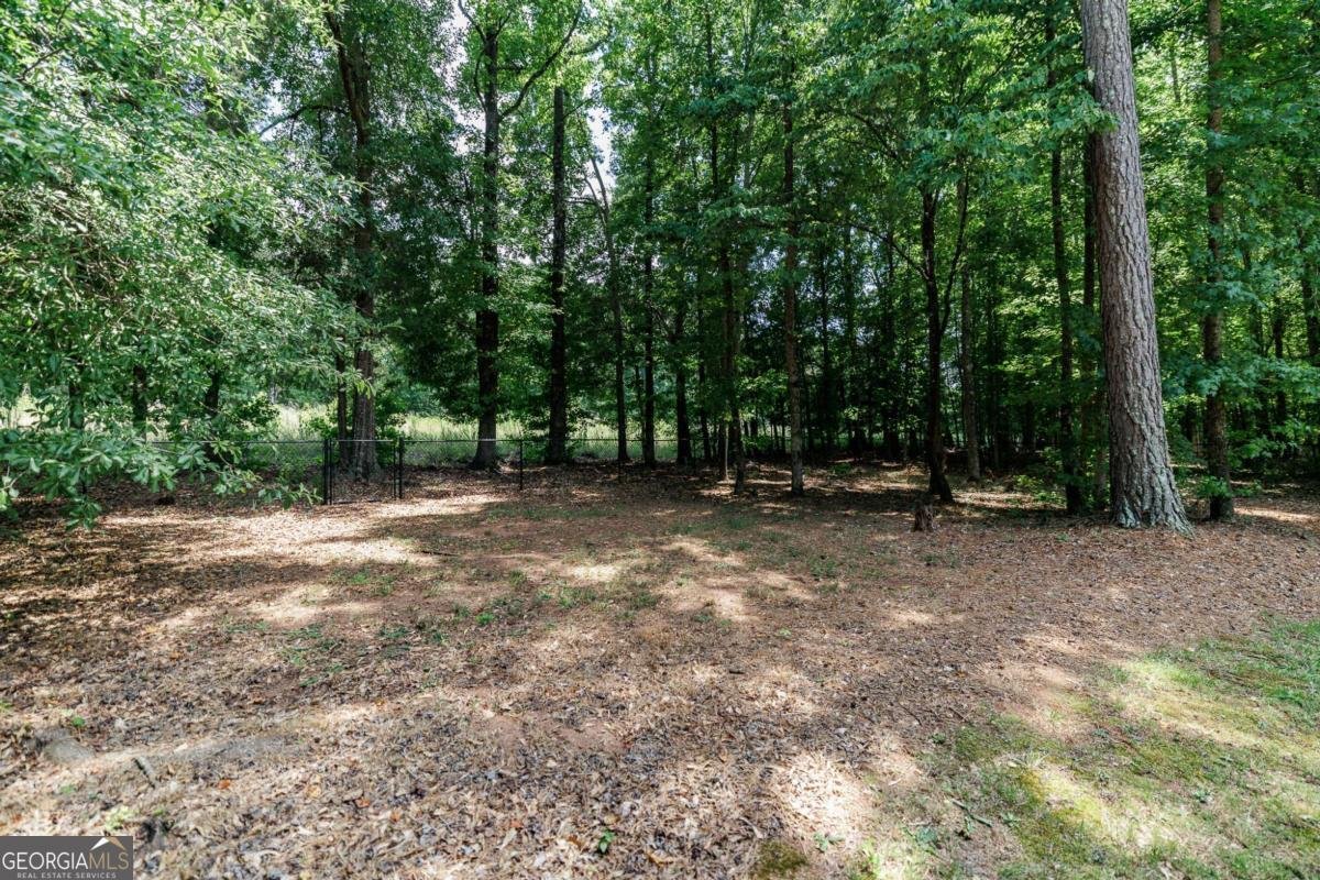 540 Lacebark Drive Athens - Photo 31