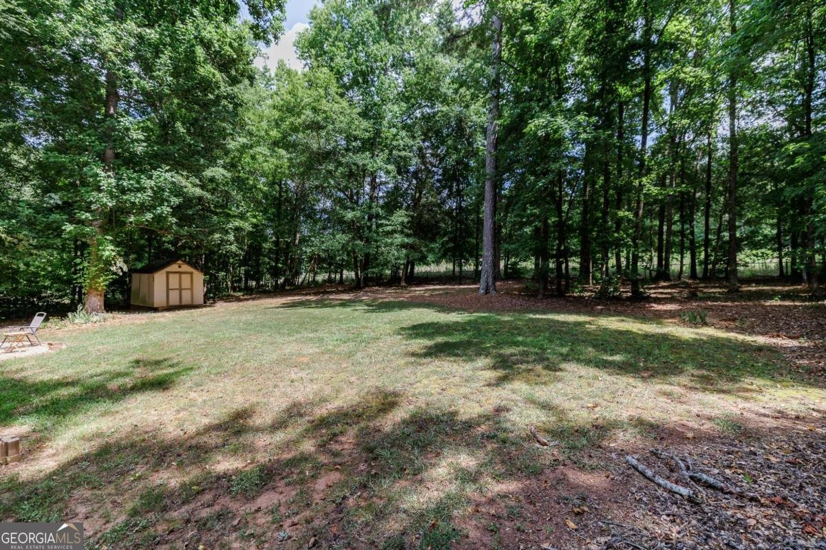 540 Lacebark Drive Athens - Photo 32