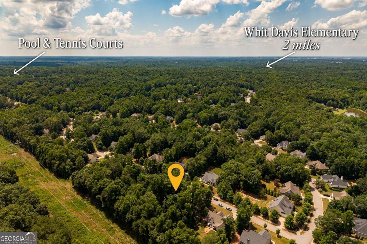 540 Lacebark Drive Athens - Photo 35