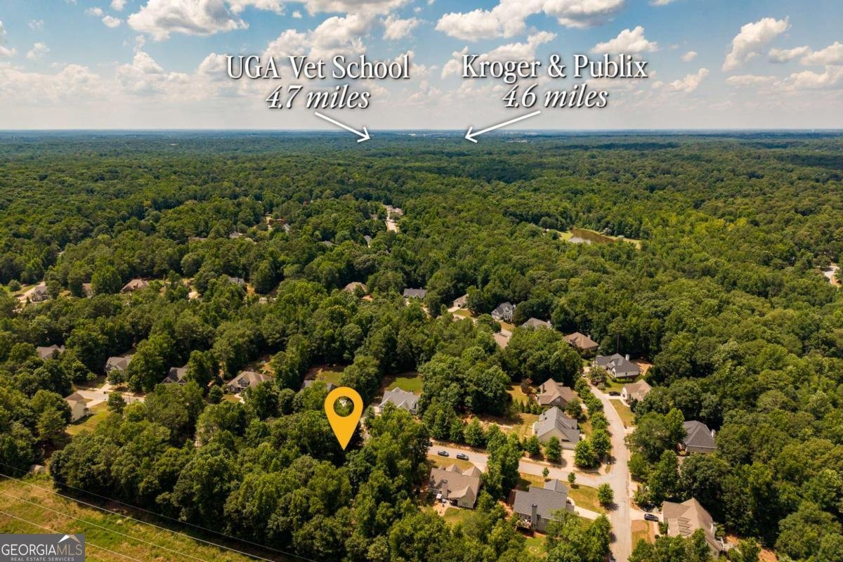 540 Lacebark Drive Athens - Photo 41
