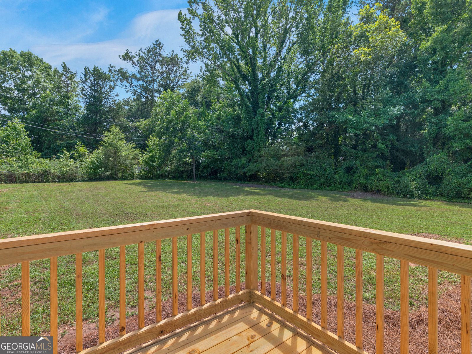 976 Hampton Locust Grove Road Hampton - Photo 36