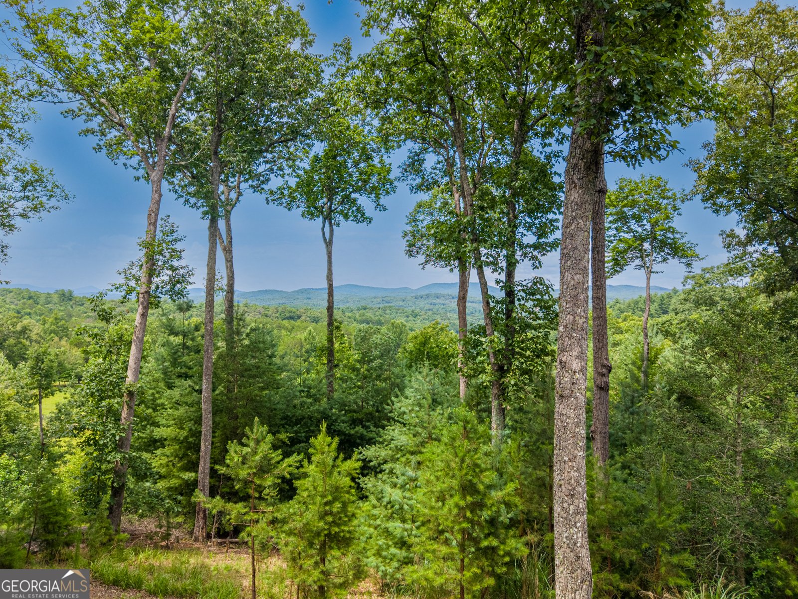 353 Robinson Thomas Road Morganton - Photo 26