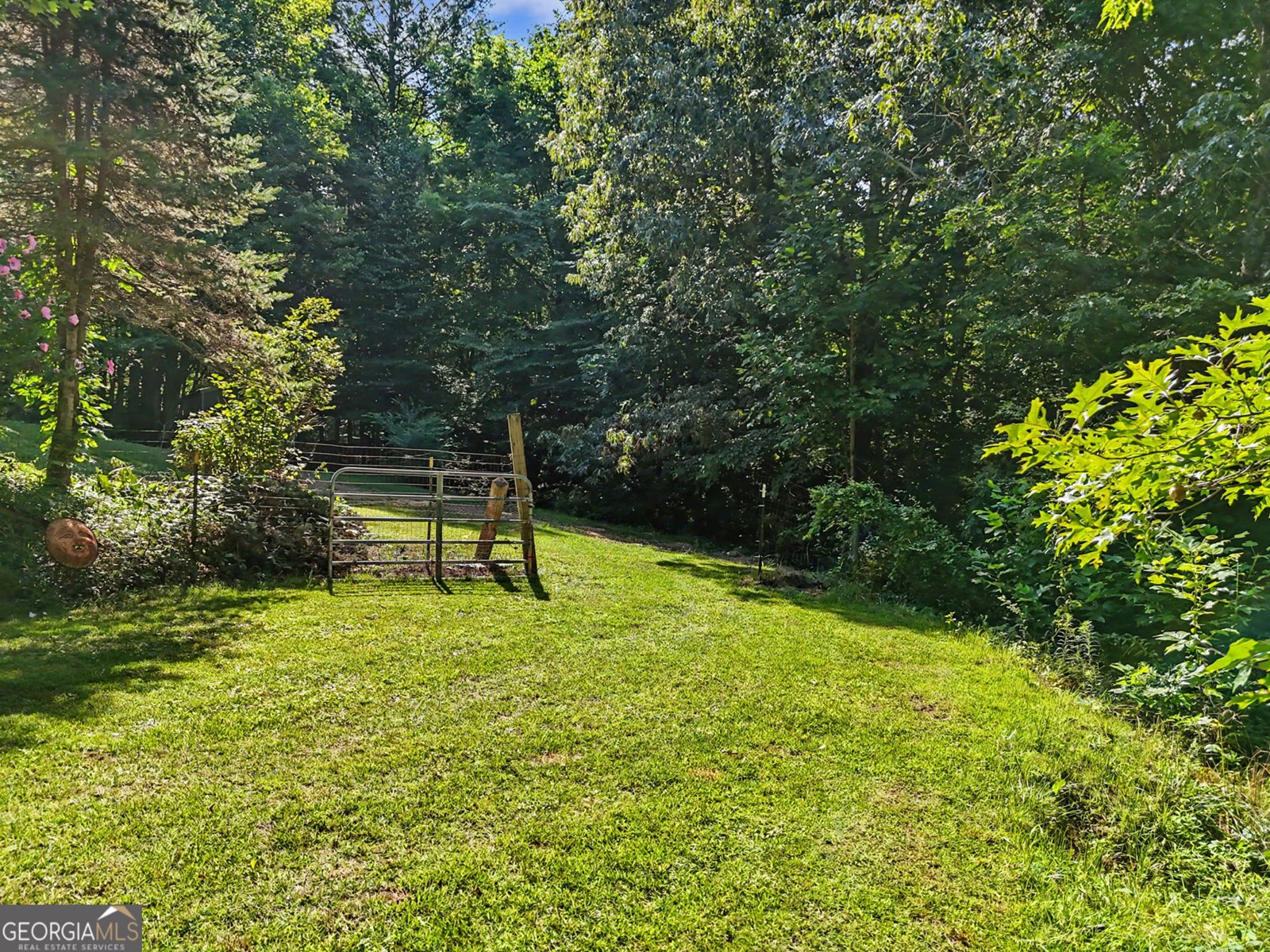 54 Esco Circle Rabun Gap - Photo 88