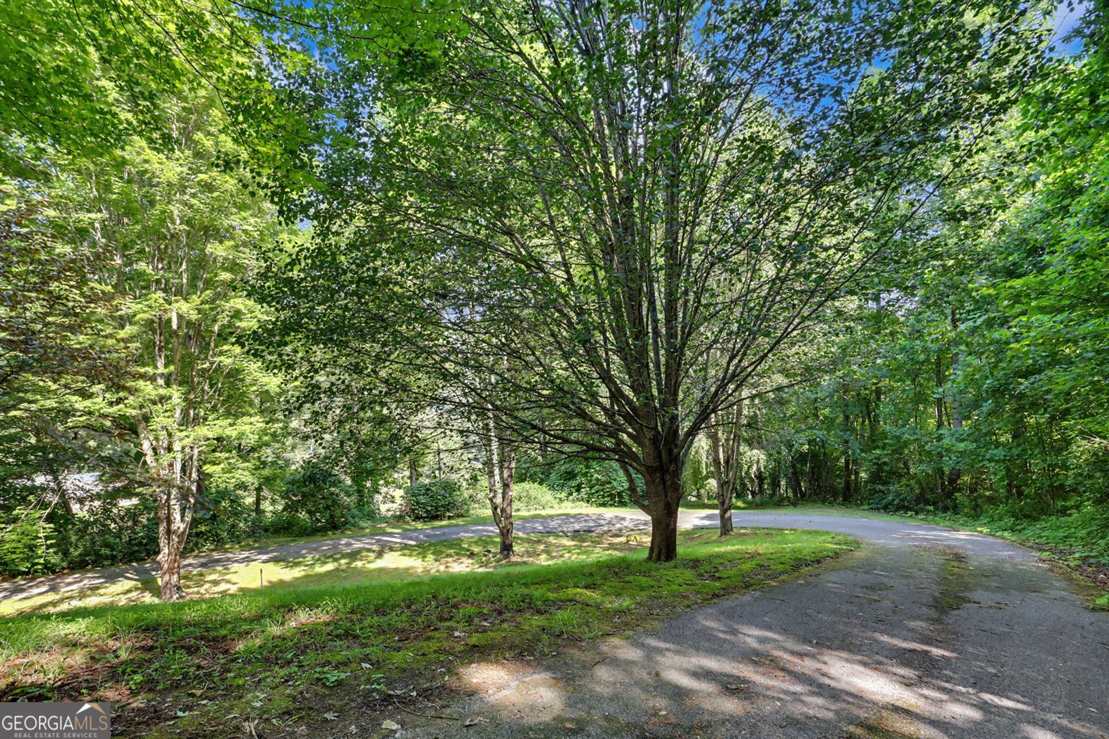 54 Esco Circle Rabun Gap - Photo 93