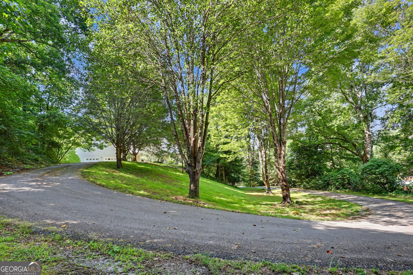 54 Esco Circle Rabun Gap - Photo 94