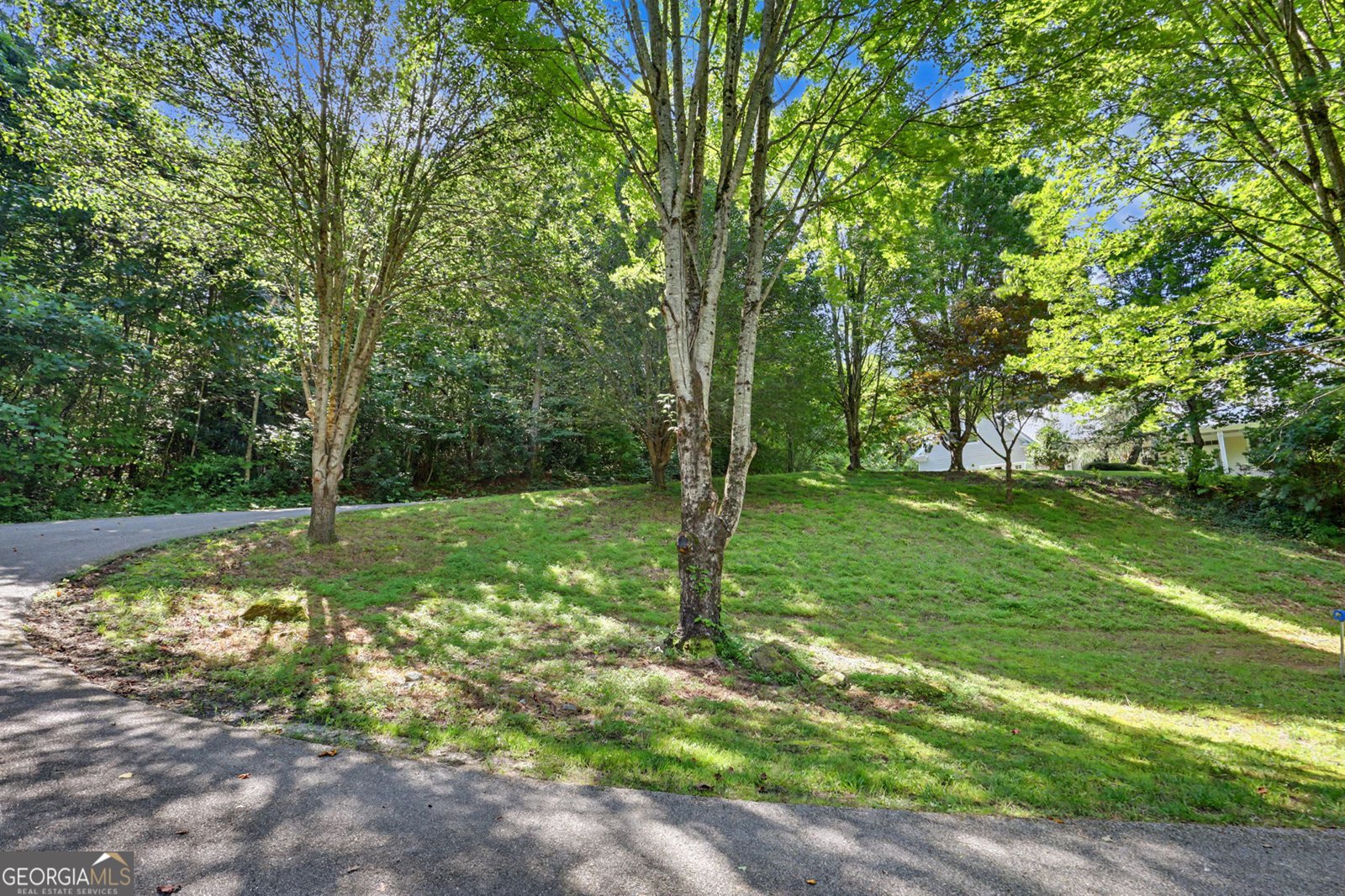 54 Esco Circle Rabun Gap - Photo 95