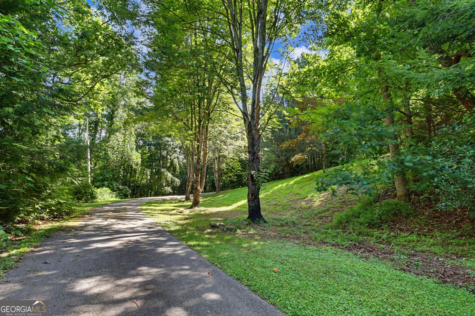54 Esco Circle Rabun Gap - Photo 96