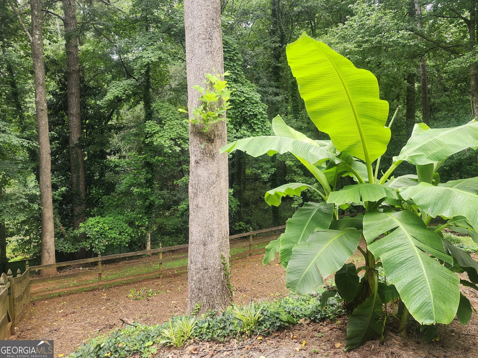 9640 Pine Thicket Way Roswell - Photo 29