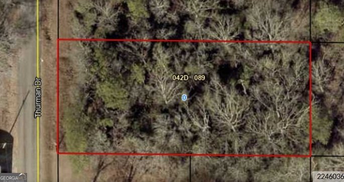 102 Thurman Drive Thomaston - Photo 8