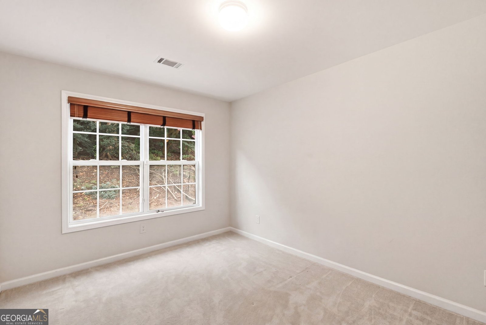 6125 Mulberry Park Drive Braselton - Photo 47