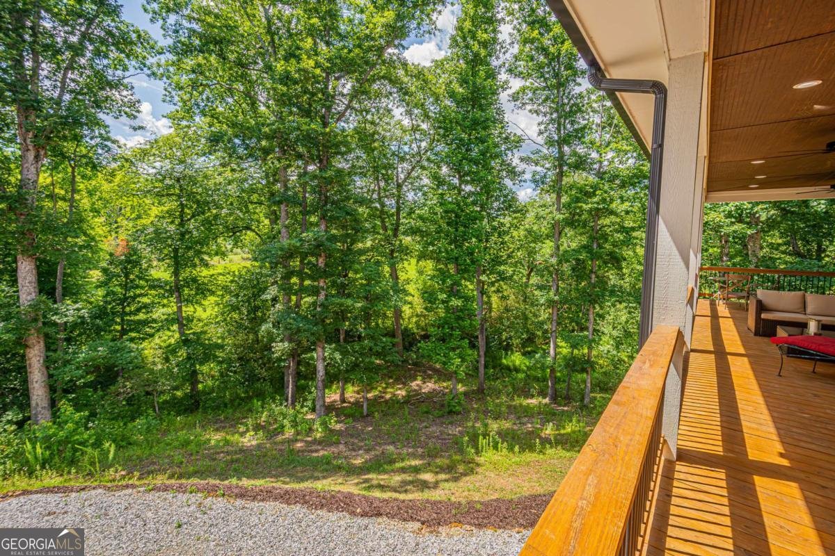 2051 Clay Creek Falls Road Dahlonega - Photo 66