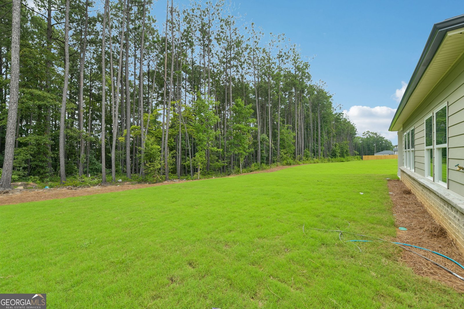 561 Tallulah Lane Grayson - Photo 39