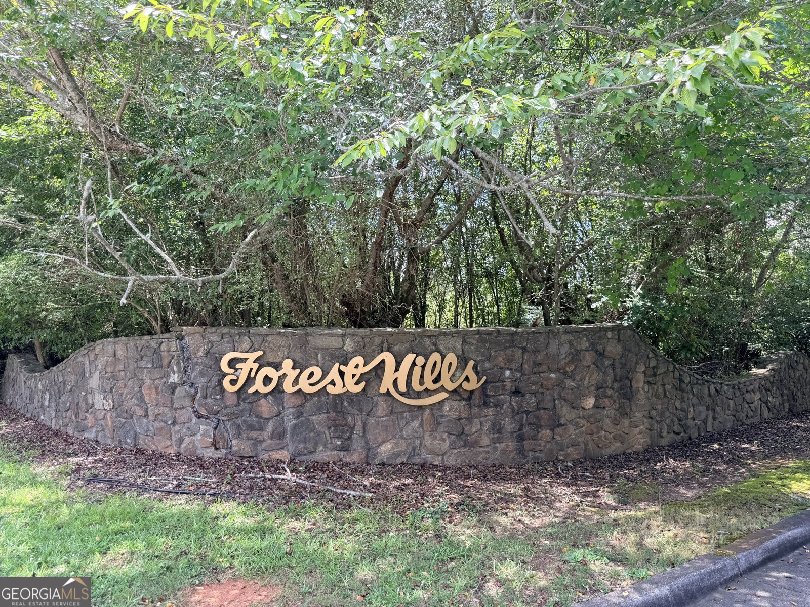 4090 Forest View Drive Conyers - Photo 42