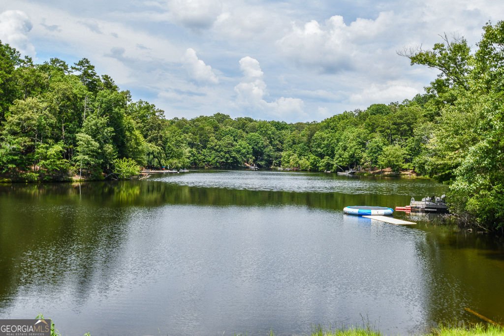 173 Indian Oak Drive Waleska - Photo 68