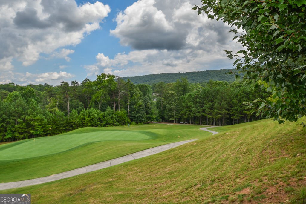 173 Indian Oak Drive Waleska - Photo 70