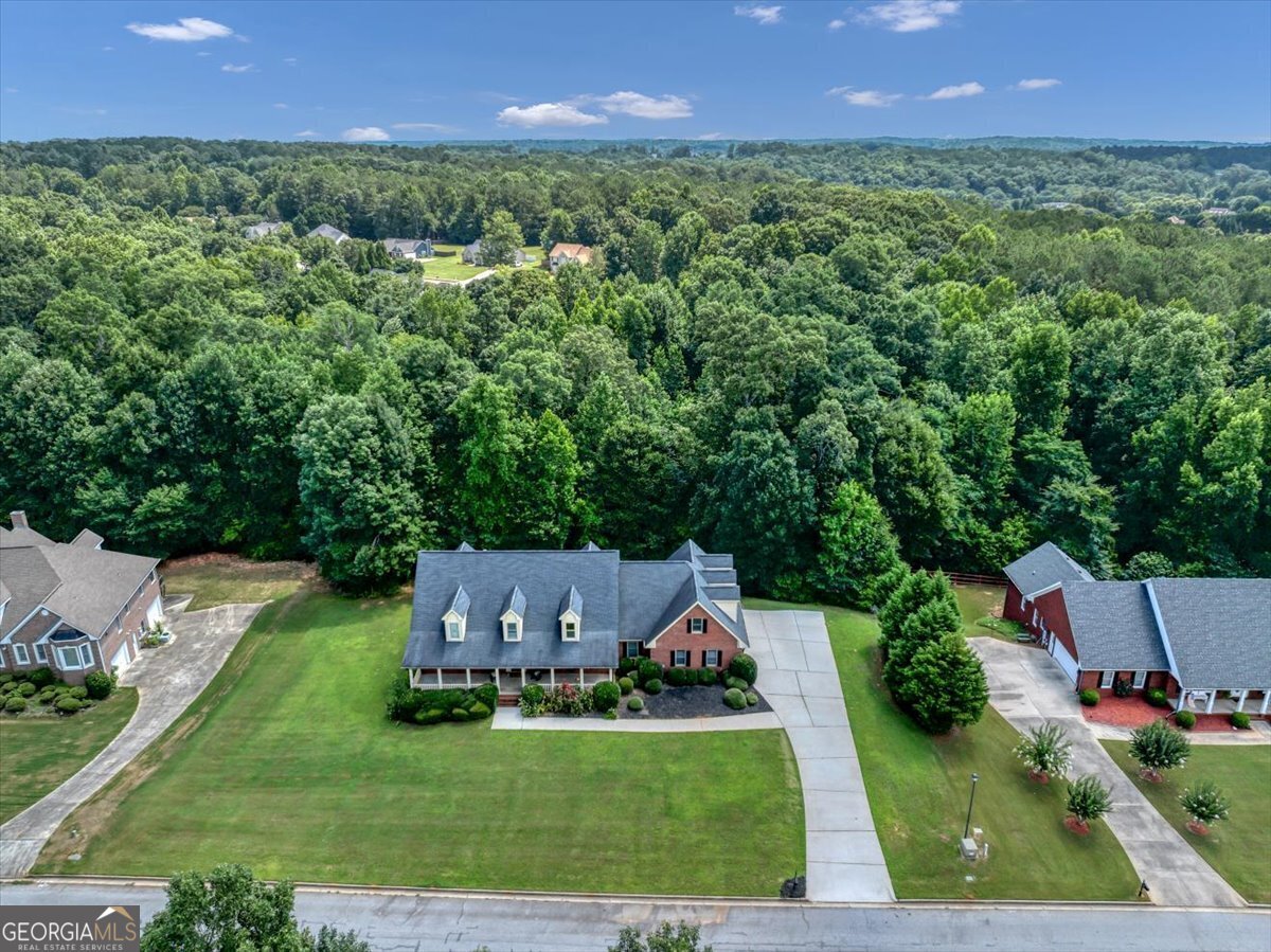 149 Robson Trail McDonough - Photo 64