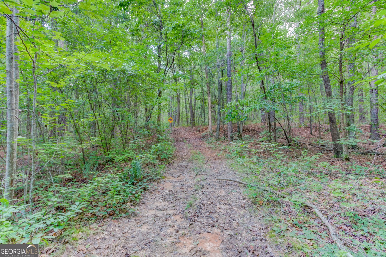 8401 Norris Lake Way Snellville - Photo 79