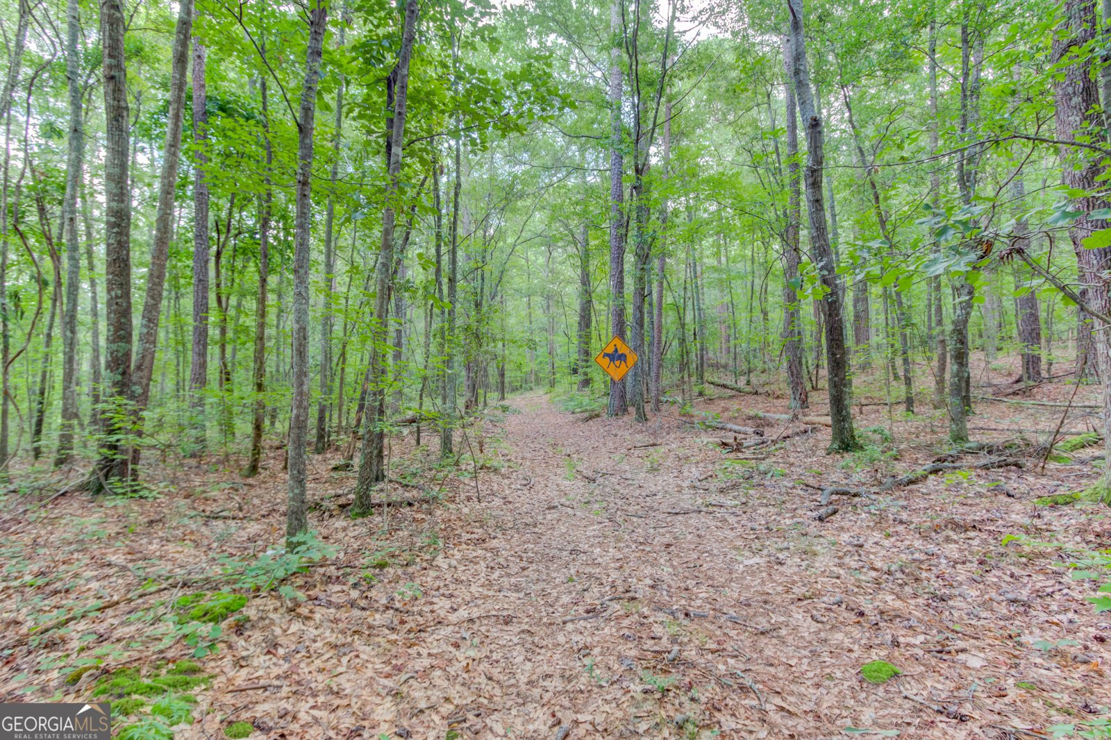 8401 Norris Lake Way Snellville - Photo 80