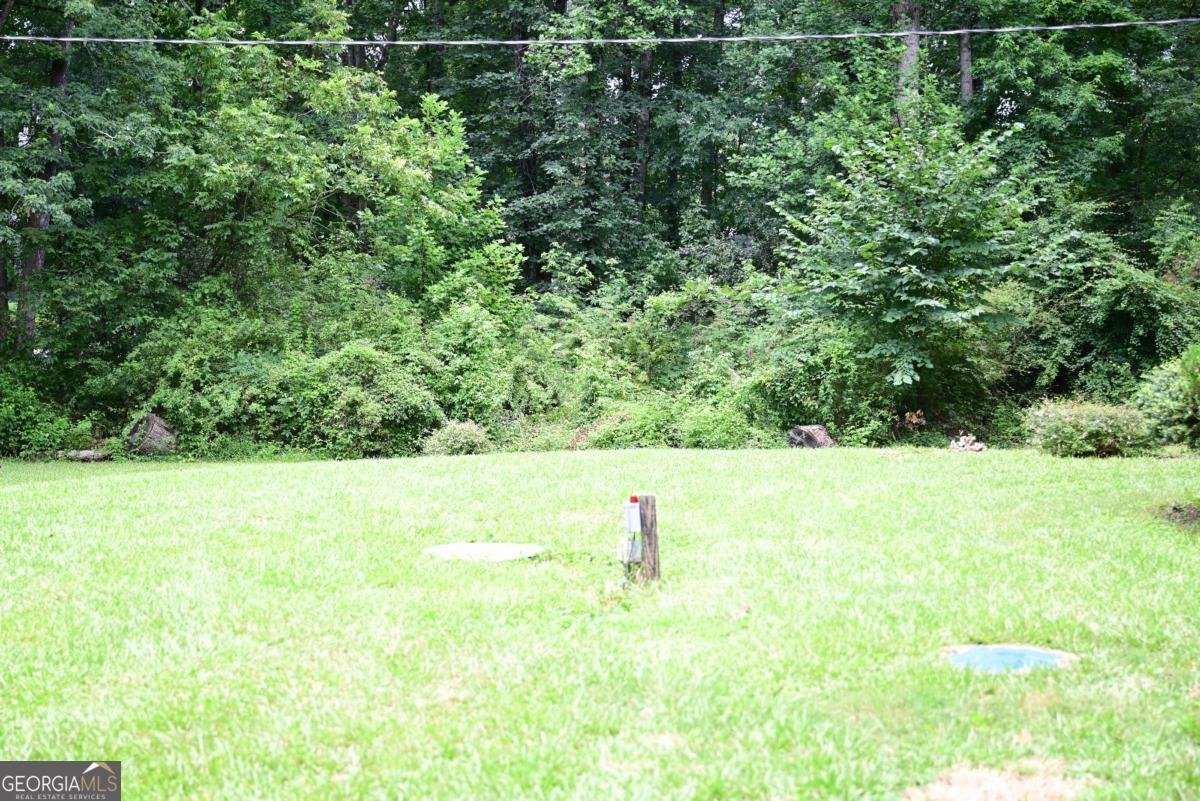 6698 Baker Drive Lithia Springs - Photo 21