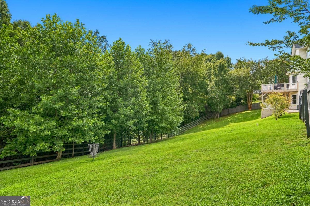 296 Cloudland Road Dahlonega - Photo 28
