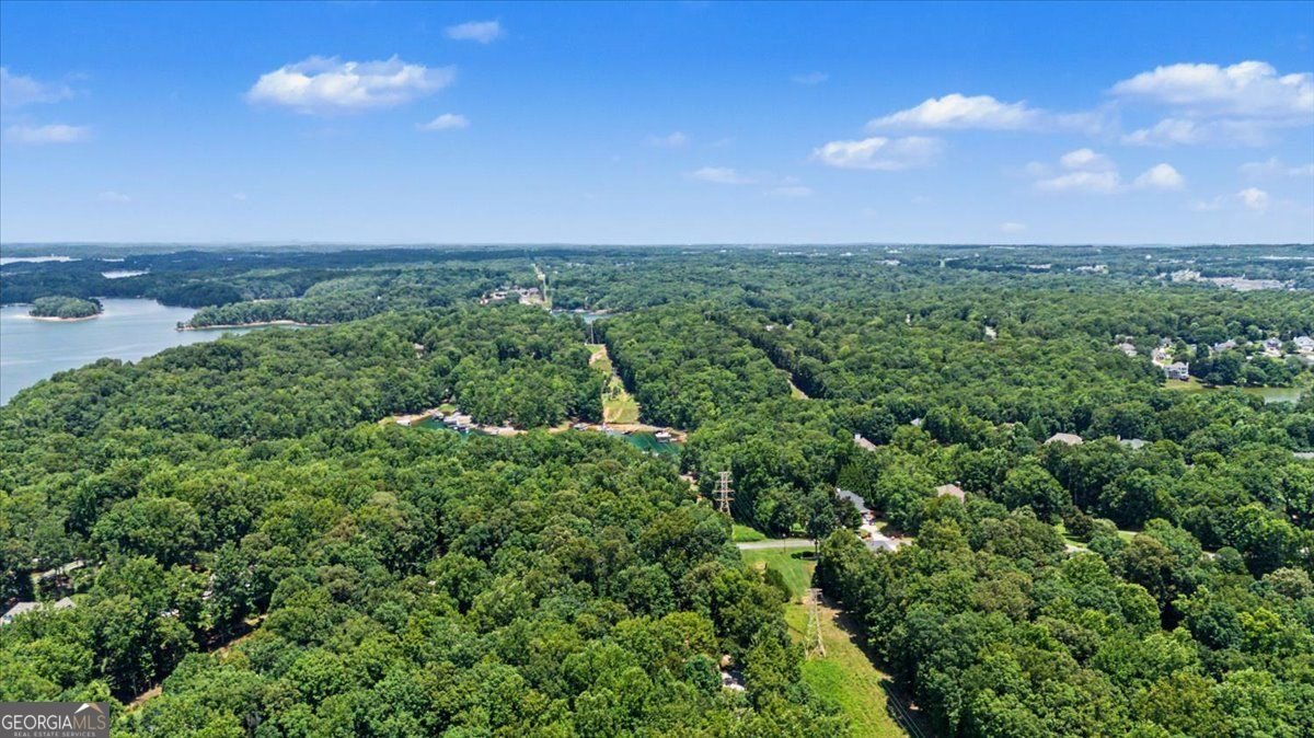 6431 Chestnut Hill Road Flowery Branch - Photo 18