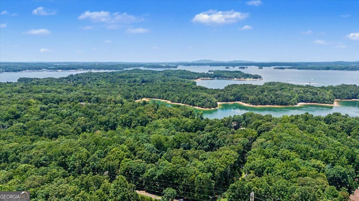 6431 Chestnut Hill Road Flowery Branch - Photo 20