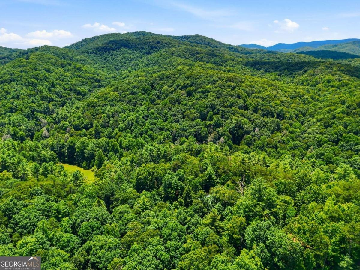 151 Hatchet Trail Cherry Log - Photo 46