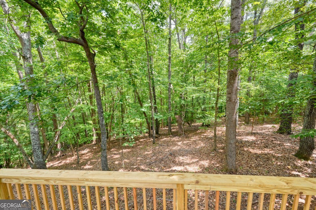 305 Michael Circle Canton - Photo 43