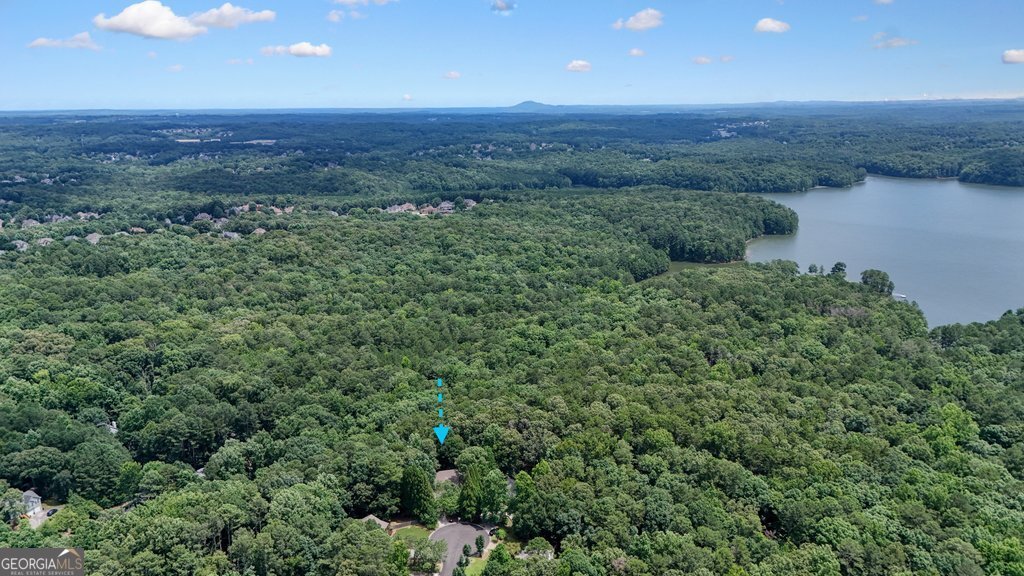 305 Michael Circle Canton - Photo 47