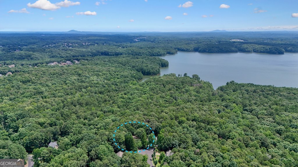 305 Michael Circle Canton - Photo 48