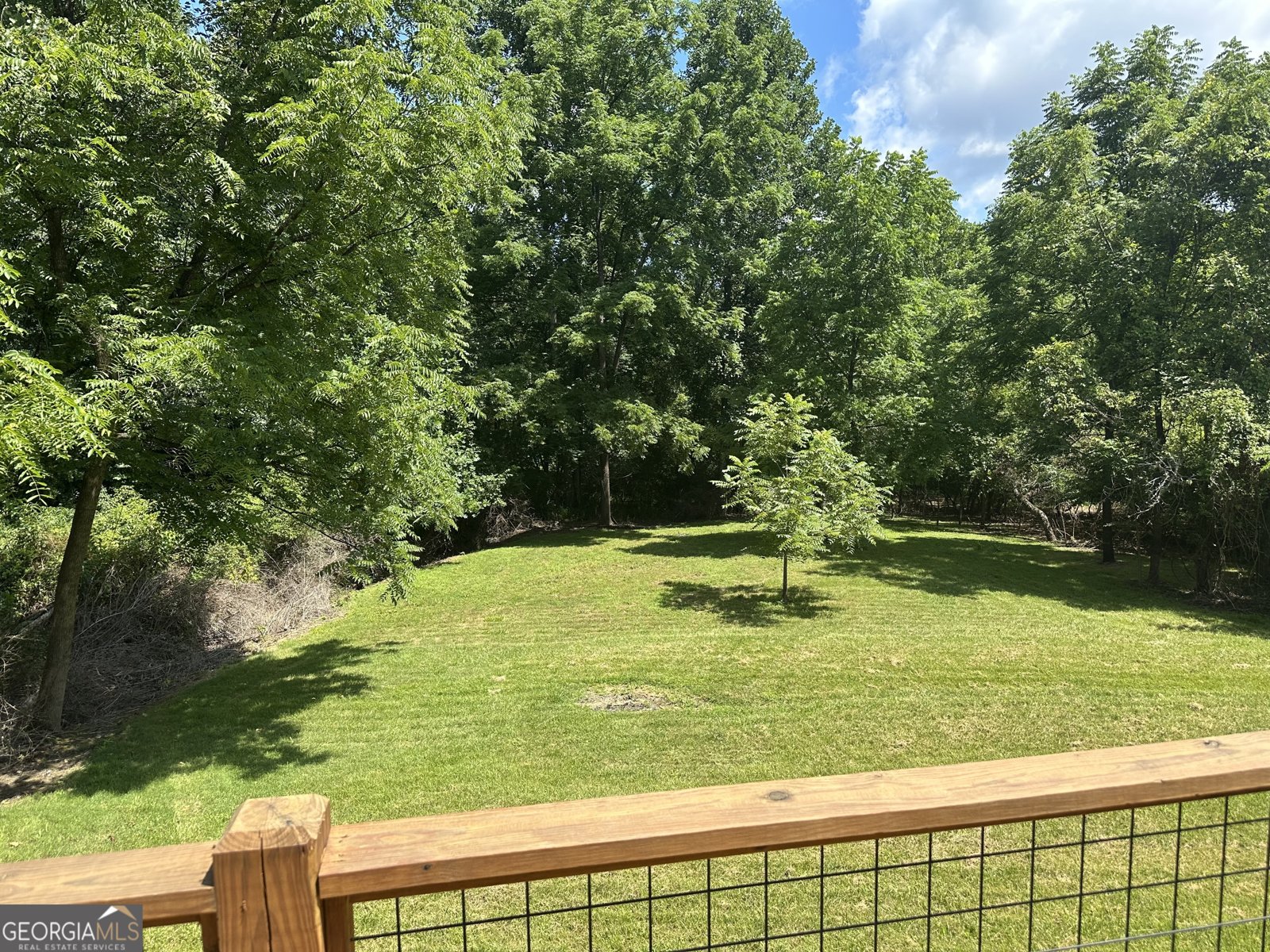 157 Old Loving Road Mineral Bluff - Photo 8