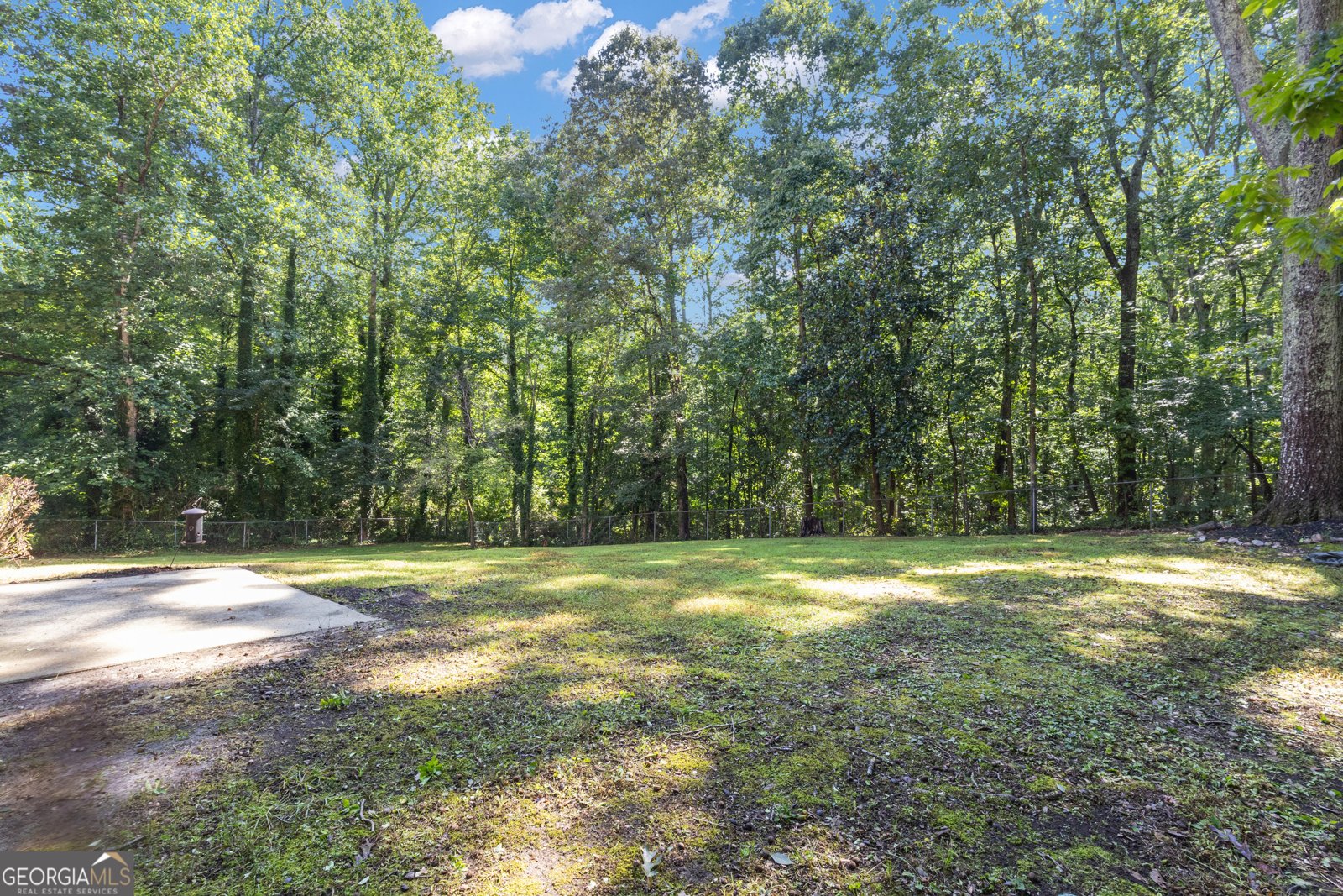 3970 Martin Way Lithia Springs - Photo 51