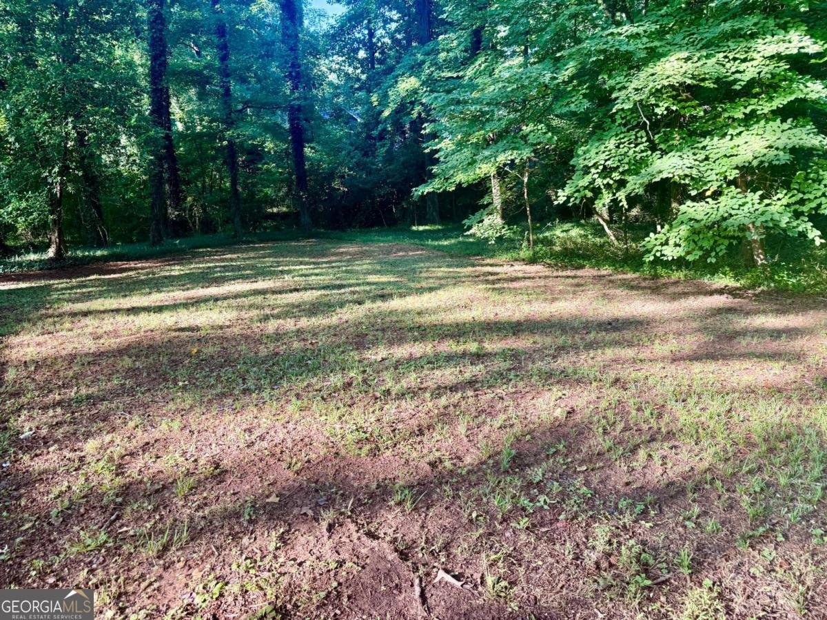 3229 Fern Valley Drive Marietta - Photo 19