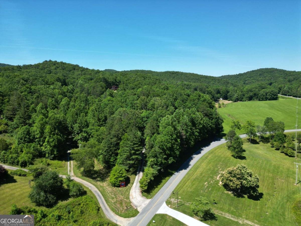 32 Ivey Ridge Road Suches - Photo 43
