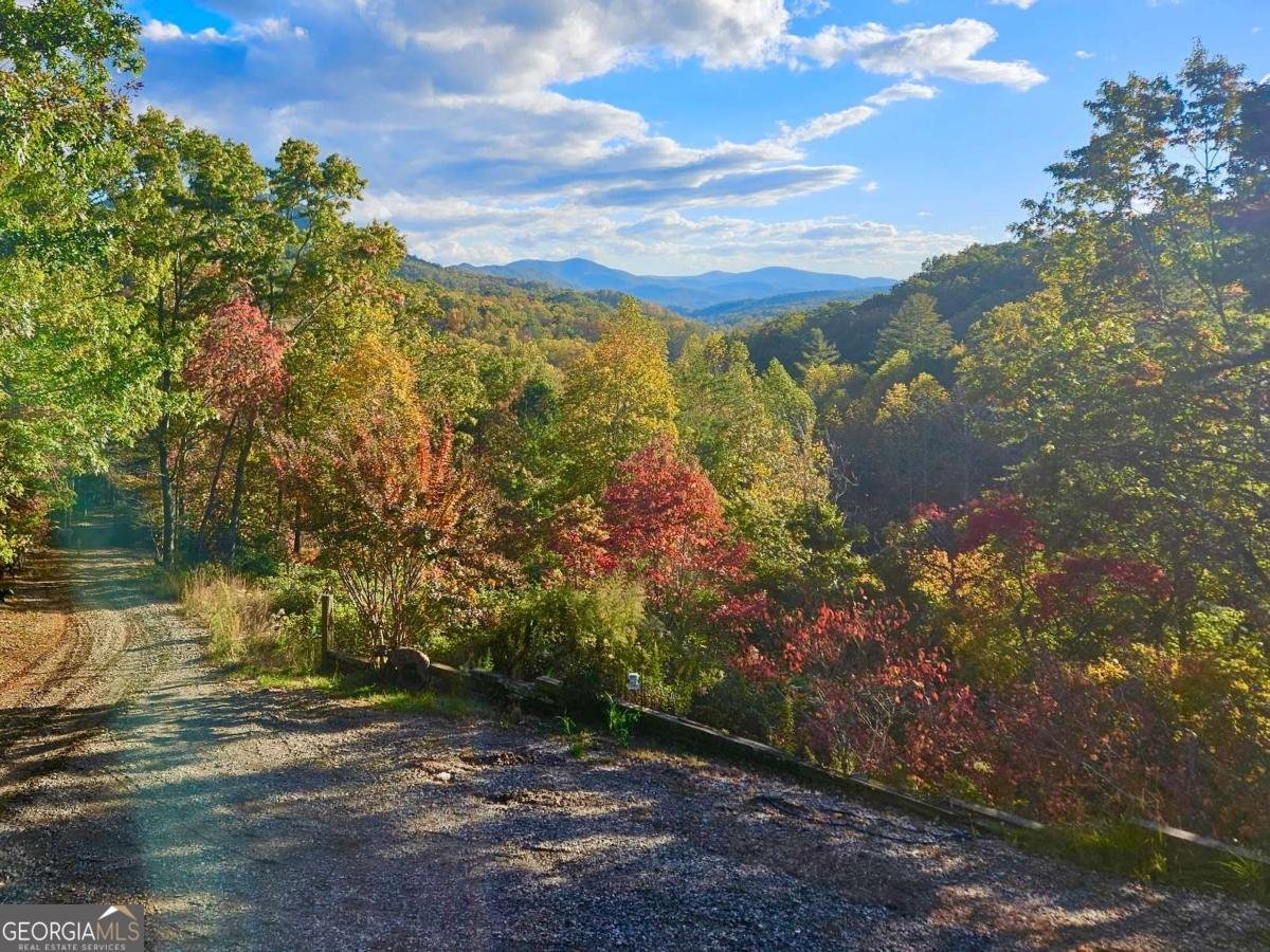 32 Ivey Ridge Road Suches - Photo 6