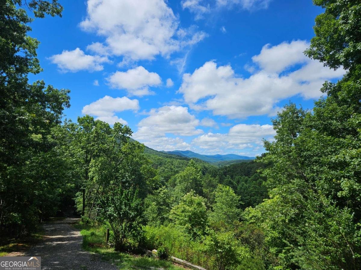 32 Ivey Ridge Road Suches - Photo 8