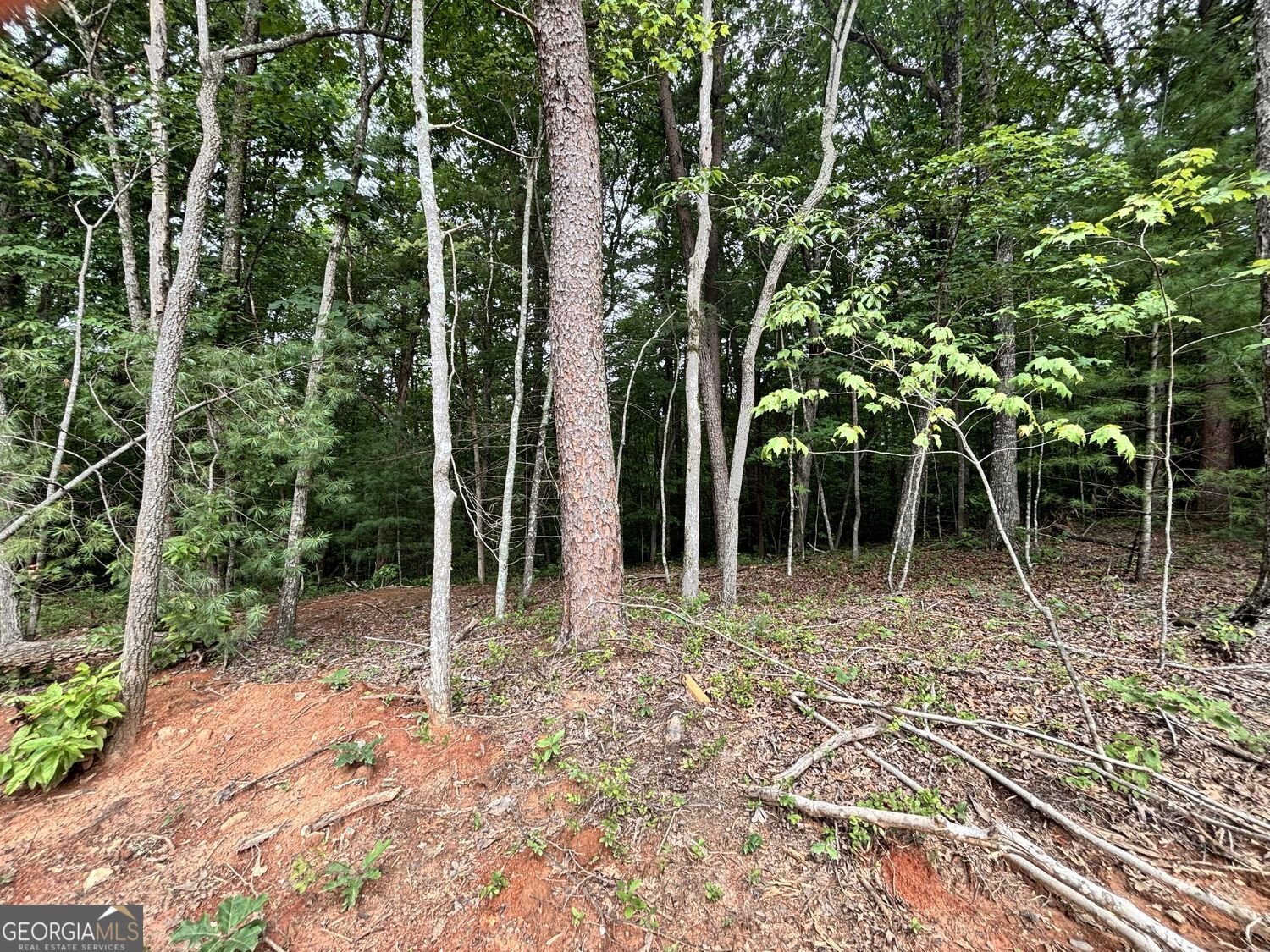 320 East Ridge Ln Ellijay - Photo 23