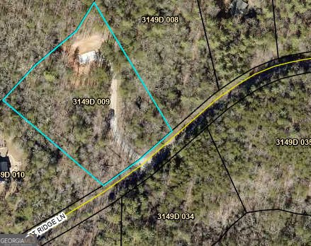 320 East Ridge Ln Ellijay - Photo 8