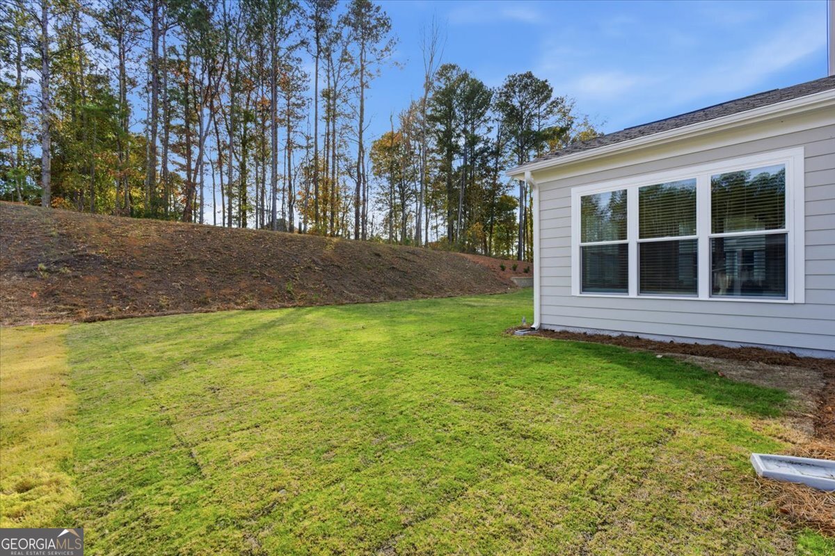 1094 Low Water Crossing NW Acworth - Photo 59