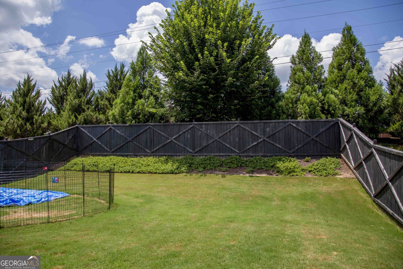 622 Shadow Moss Avenue Canton - Photo 41