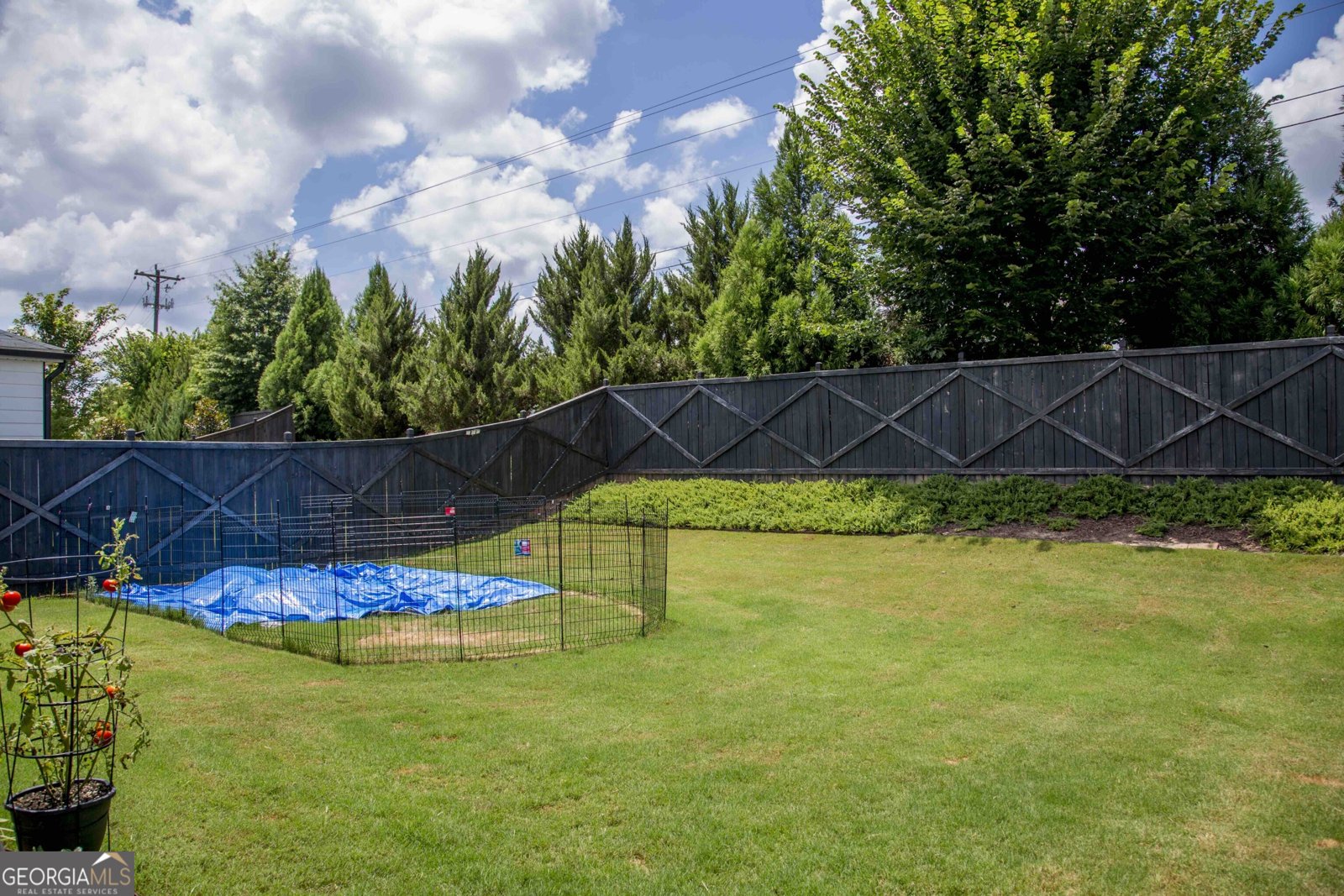 622 Shadow Moss Avenue Canton - Photo 43