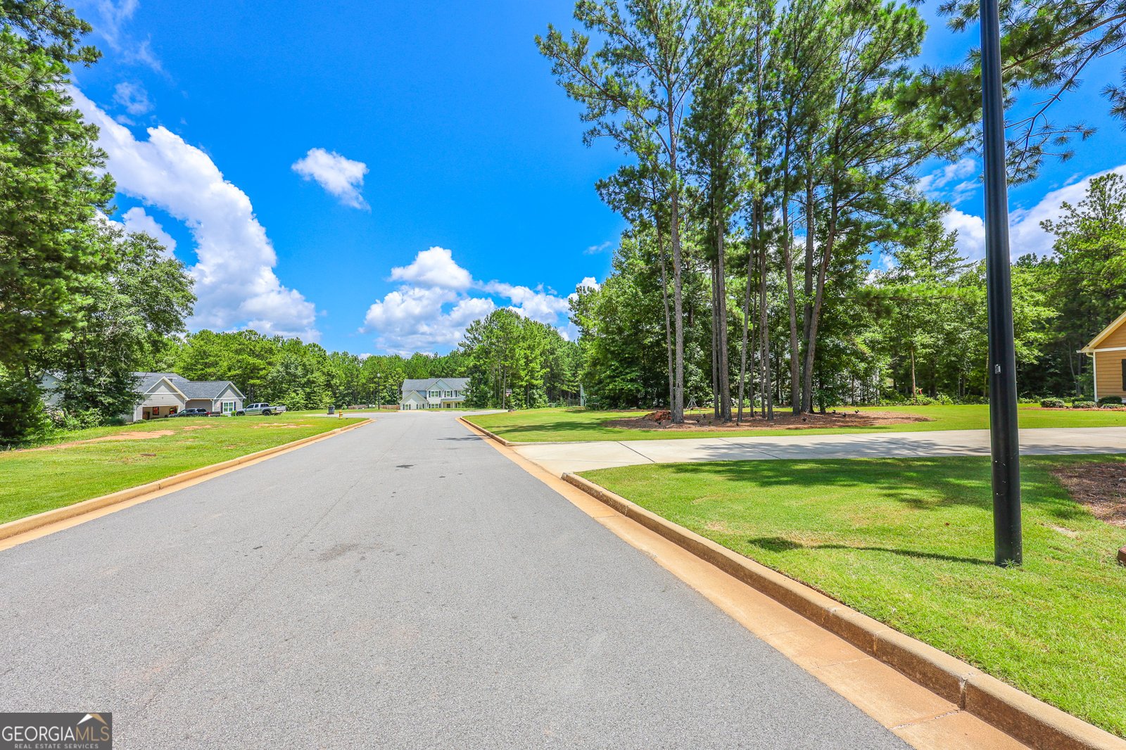 330 Fenwick Farms Drive Lagrange - Photo 106