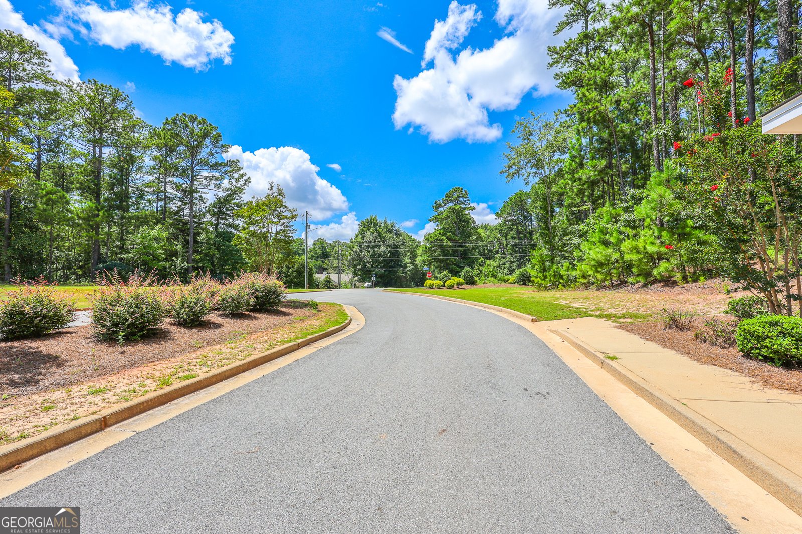 330 Fenwick Farms Drive Lagrange - Photo 110